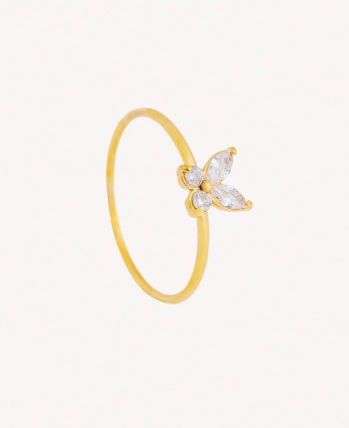 Anillo Crisálida