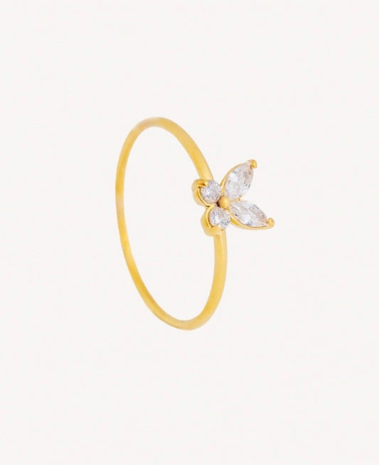 Anillo Crisálida