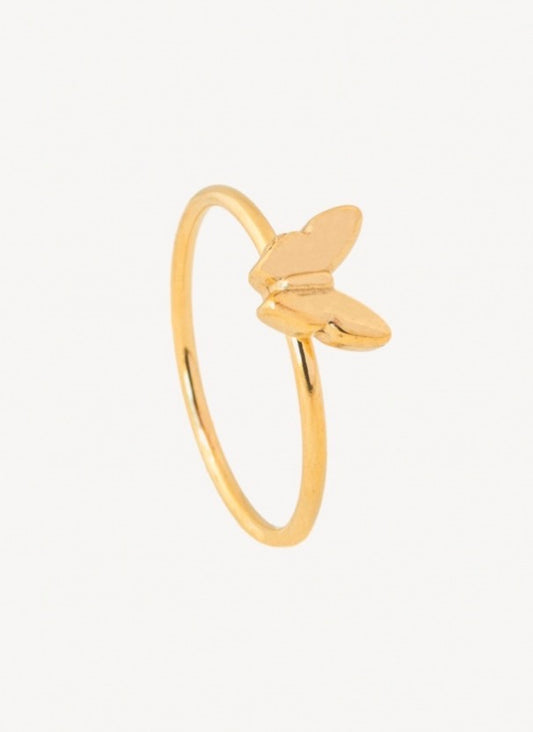 Anillo Lira
