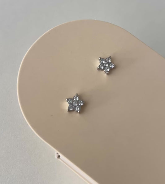 Aros Kauri